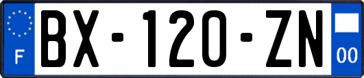 BX-120-ZN