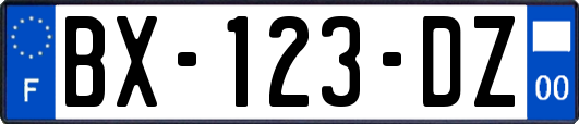 BX-123-DZ