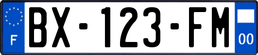 BX-123-FM