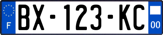 BX-123-KC