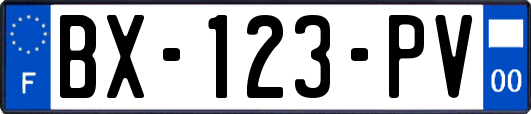 BX-123-PV
