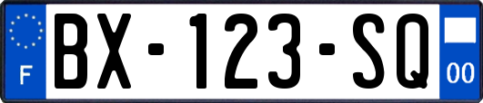 BX-123-SQ