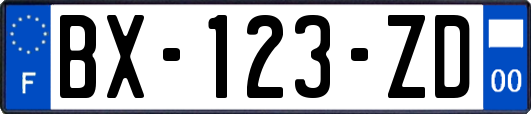 BX-123-ZD