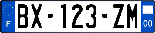 BX-123-ZM