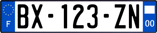 BX-123-ZN