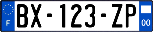 BX-123-ZP