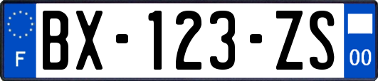 BX-123-ZS