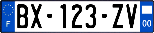 BX-123-ZV