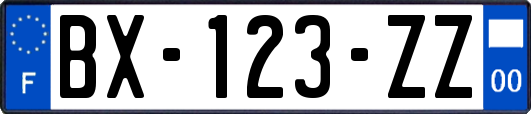 BX-123-ZZ