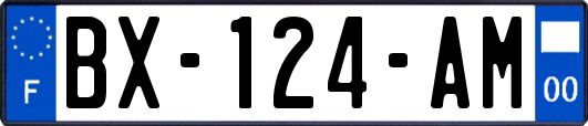 BX-124-AM