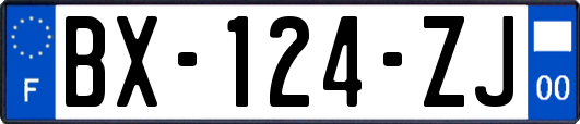 BX-124-ZJ