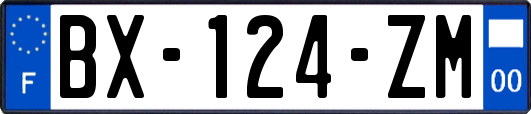 BX-124-ZM