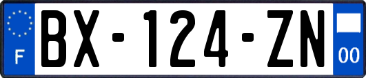 BX-124-ZN