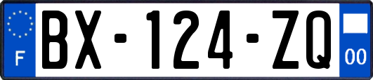 BX-124-ZQ