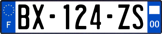 BX-124-ZS