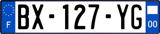 BX-127-YG