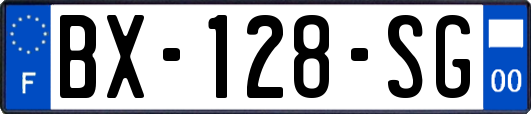 BX-128-SG