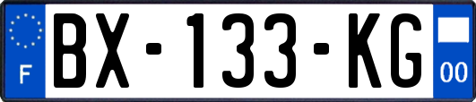 BX-133-KG