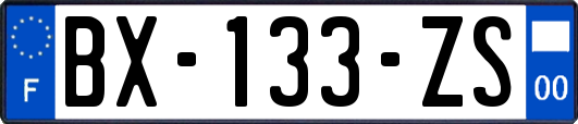 BX-133-ZS