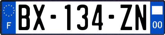 BX-134-ZN