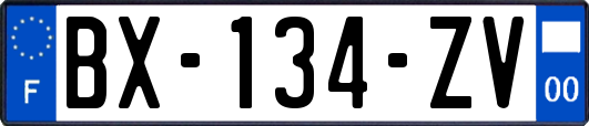 BX-134-ZV