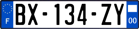 BX-134-ZY