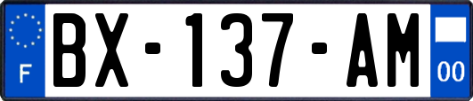 BX-137-AM