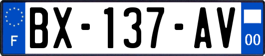 BX-137-AV