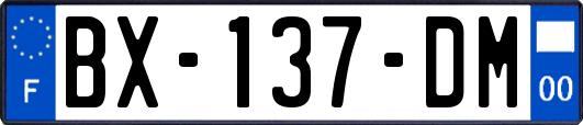 BX-137-DM