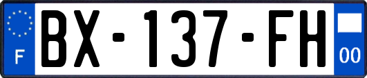 BX-137-FH