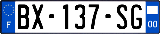 BX-137-SG