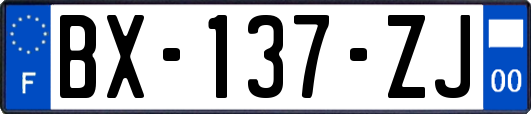 BX-137-ZJ