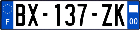 BX-137-ZK