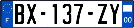 BX-137-ZY