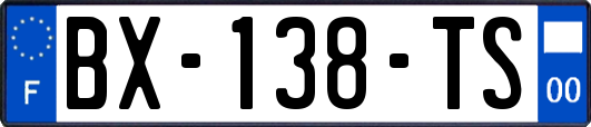 BX-138-TS