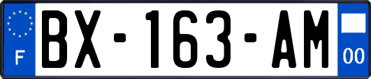 BX-163-AM