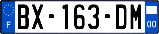 BX-163-DM