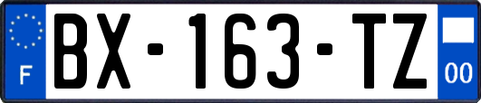 BX-163-TZ