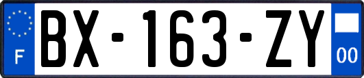 BX-163-ZY