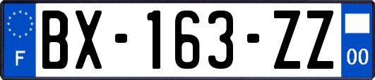 BX-163-ZZ