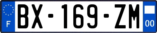 BX-169-ZM