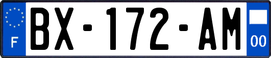 BX-172-AM