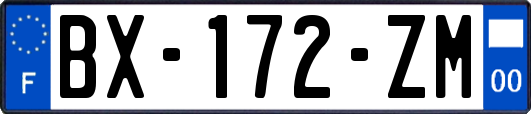 BX-172-ZM