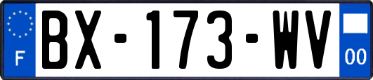 BX-173-WV