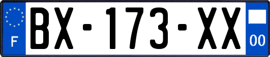 BX-173-XX