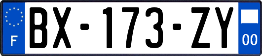 BX-173-ZY