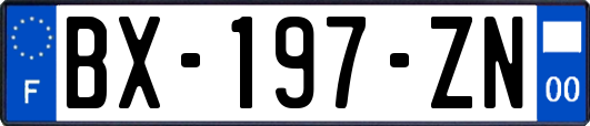 BX-197-ZN