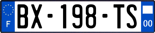 BX-198-TS