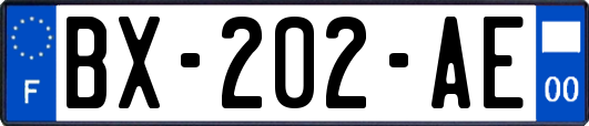 BX-202-AE