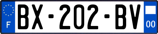 BX-202-BV